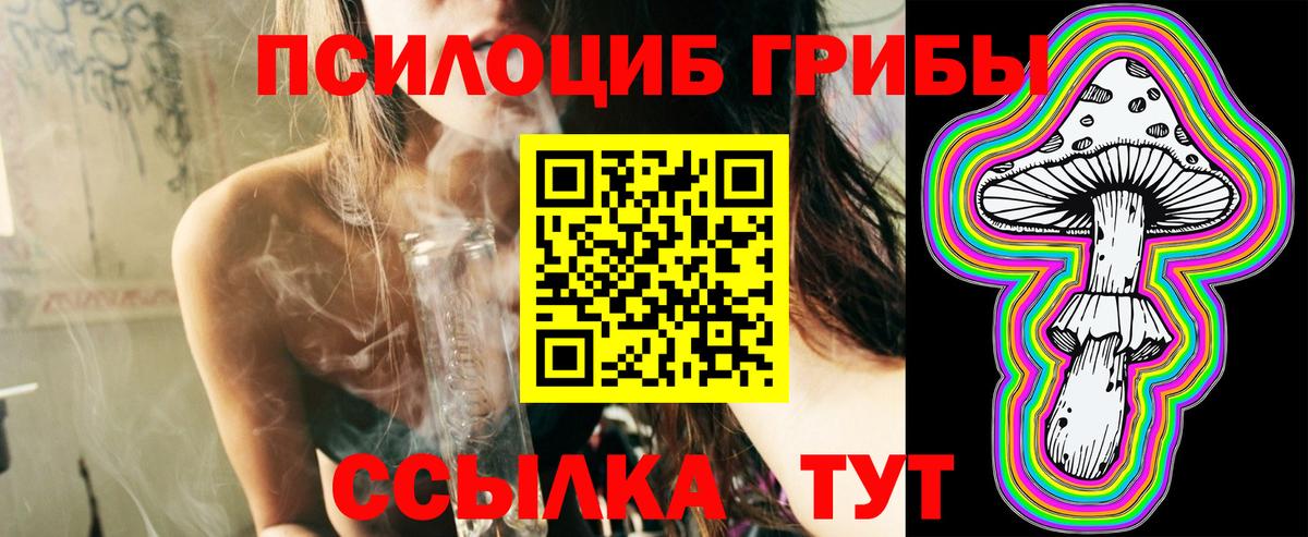 Галлюциногенные грибы MAGIC MUSHROOMS Кировск